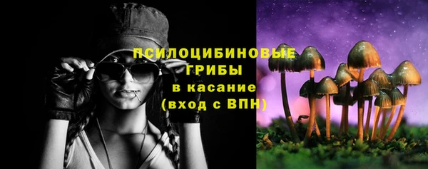 МДПВ Алзамай