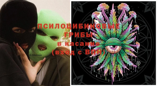 МДПВ Алзамай
