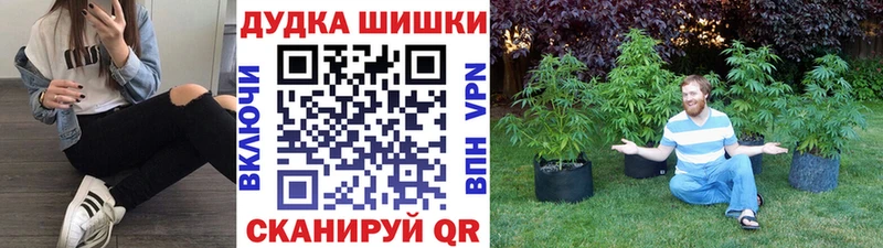 Бошки Шишки индика  как найти закладки  Можга 